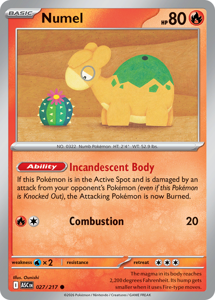 Numel card scan