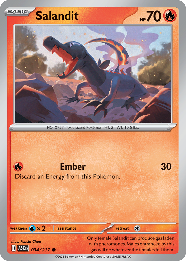 Salandit card scan