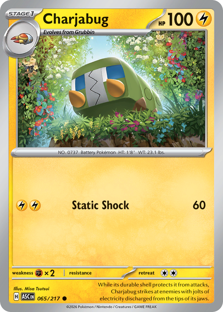 Charjabug card scan